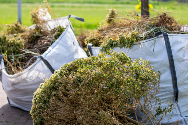 Best Junk Removal Near Me  in Thiells, NY